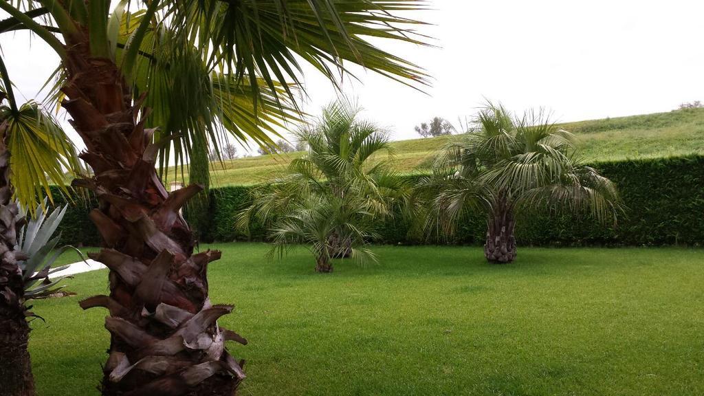 B&B "Corte San Tomaso" Legnago Eksteriør billede